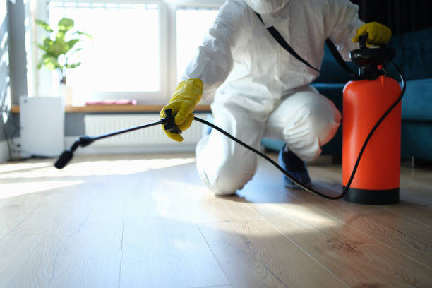 Trusted Sewage Cleanup service in Millstadt, IL - Four Month Blood Cleanse